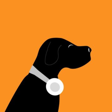 Thumbnail for Episode 1125: Dog Songs