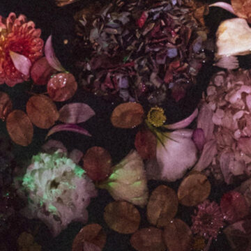 Thumbnail for Episode 2311: January 2026 New Music 5: Alter Bridge, Sludge Mother, The Beaches, Megadeth